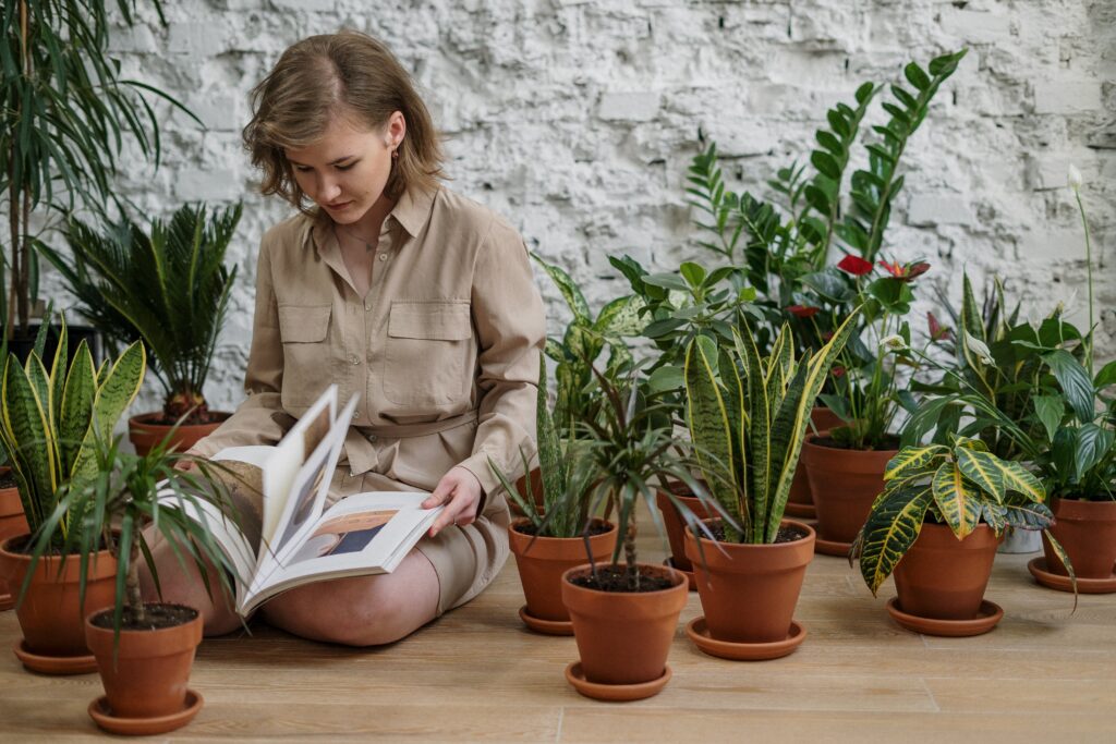 Regali Last Minute per Chi Ama il Giardinaggio