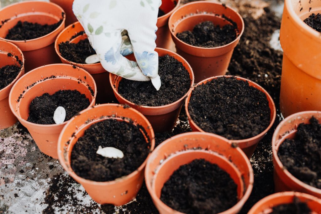 Regali Last Minute per Chi Ama il Giardinaggio