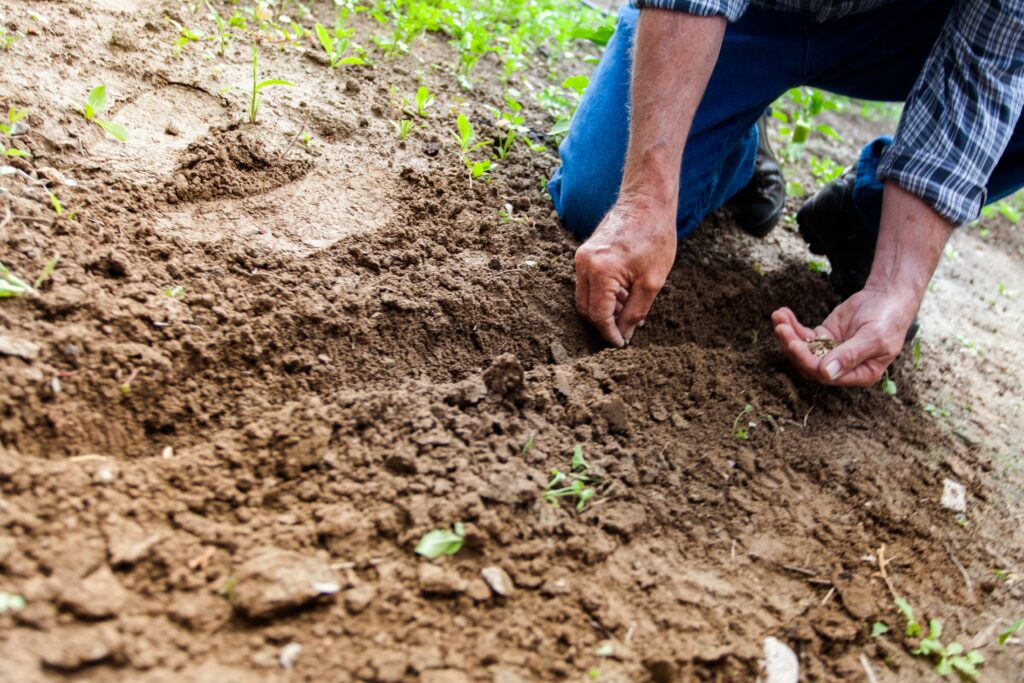 Regali Last Minute per Chi Ama il Giardinaggio