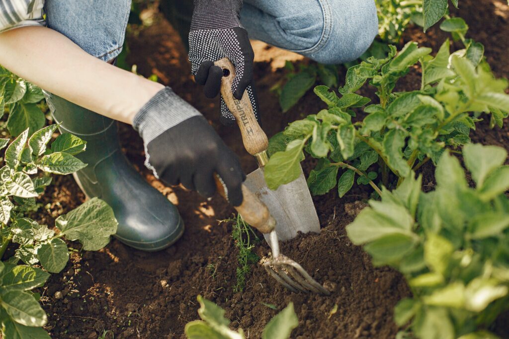 Regali Last Minute per Chi Ama il Giardinaggio
